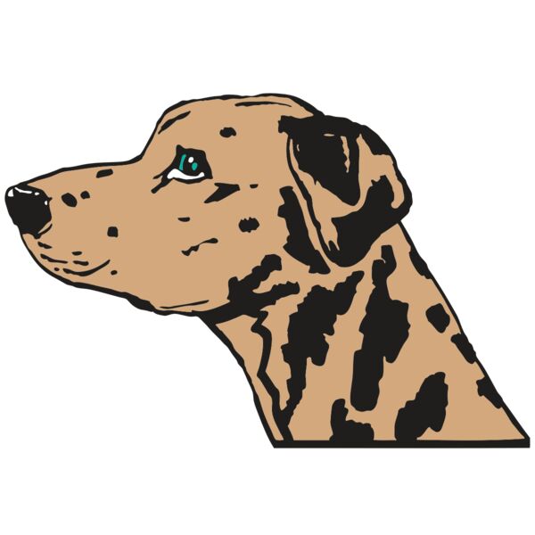 AR2 OTHER 03 RQC Thumbnail